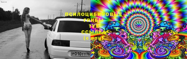 трава Бронницы