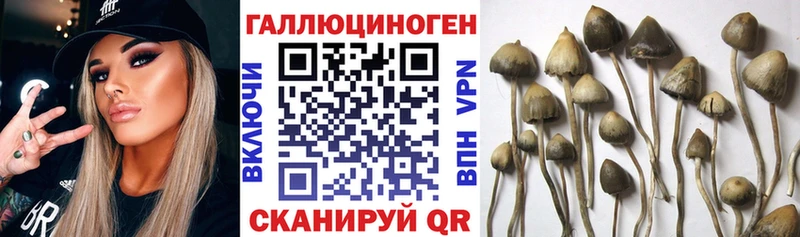 Псилоцибиновые грибы ЛСД  Верхнеуральск 